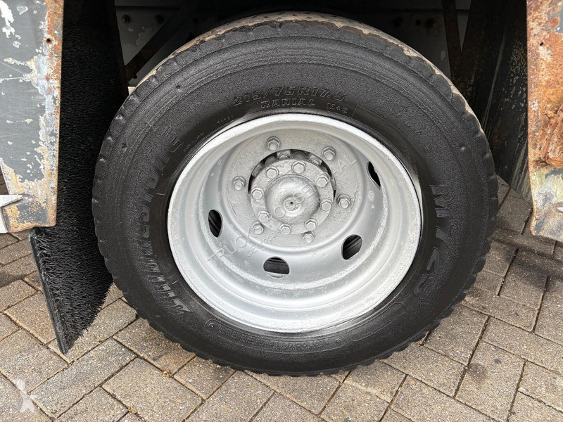 Vrachtwagen Mercedes 815 + MANUAL + spring