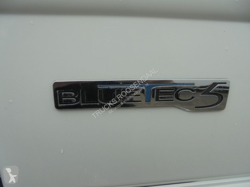 Camion Mercedes 1846 + Euro 5 + EFFER 250 Crane...