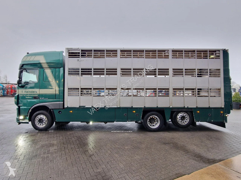 شاحنة DAF 440 SuperSpaceCab 6x2*4 - Cuppers...