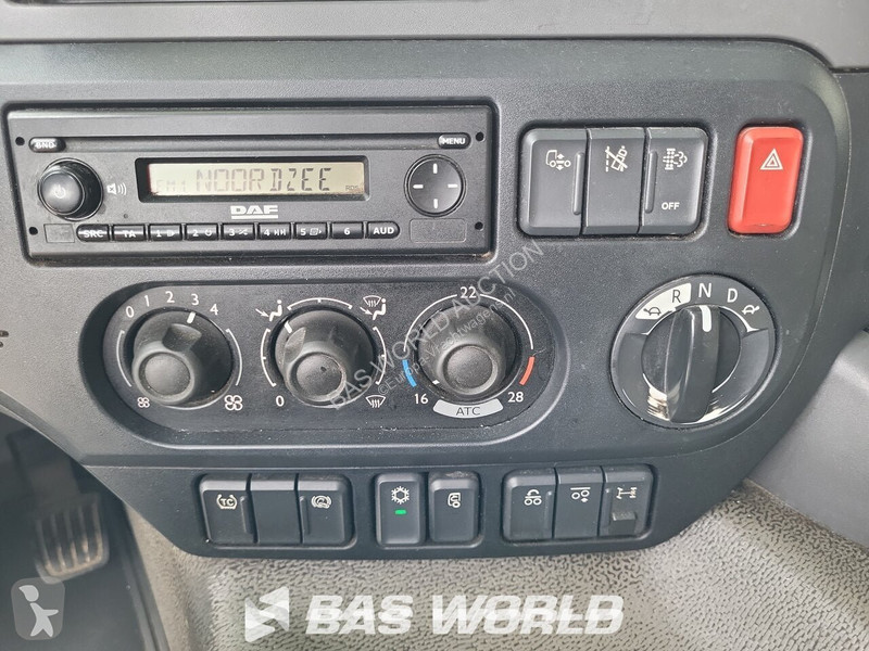 Camion DAF 290