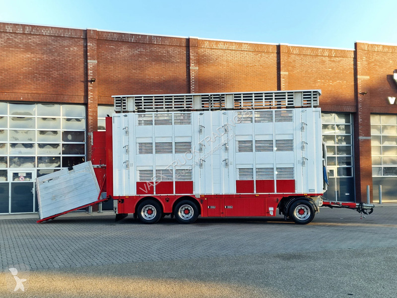 Kamion Volvo 13500 XL 6x2 - Pezzaioli livestock...