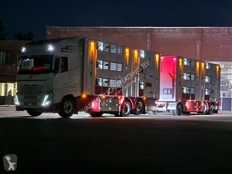 Kamion Volvo 13500 XL 6x2 - Pezzaioli livestock...