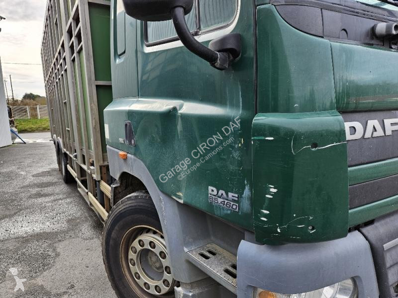 Camion DAF FAS 460