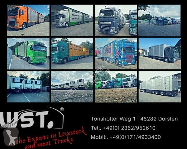 Camion DAF 360 Spezial Radmulden 9,00 m Tielader
