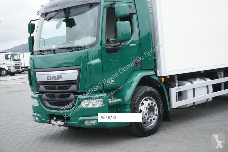 Camion DAF LF / 250 / EURO 6 / CHŁODNIA + WINDA...