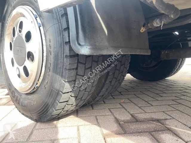 Lastbil DAF LF CLEAN HORSES NL-TRUCK
