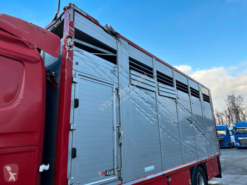 شاحنة Scania G380 B 4x2 1.Stock Menke-Janzen...