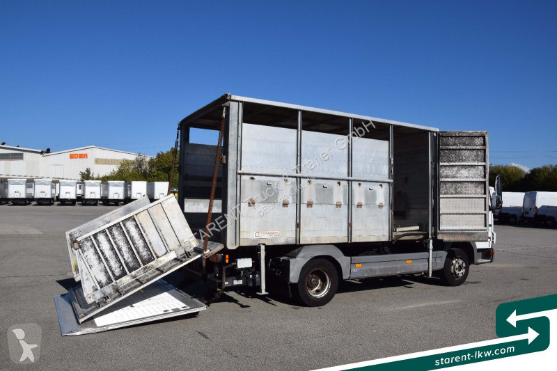 Kamion Mercedes 815 BDF-Viehaufbau + Kühlaufbau