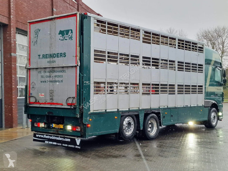 شاحنة DAF 440 SuperSpaceCab 6x2*4 - Cuppers...