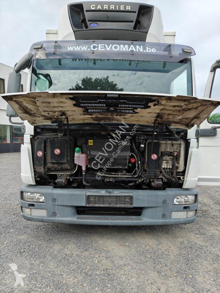 شاحنة MAN 8.180 Boxtruck / Frigo Carrier Supra...