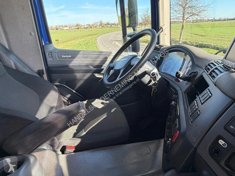 Camion DAF 250 250.19 EURO6. Chassic cabine