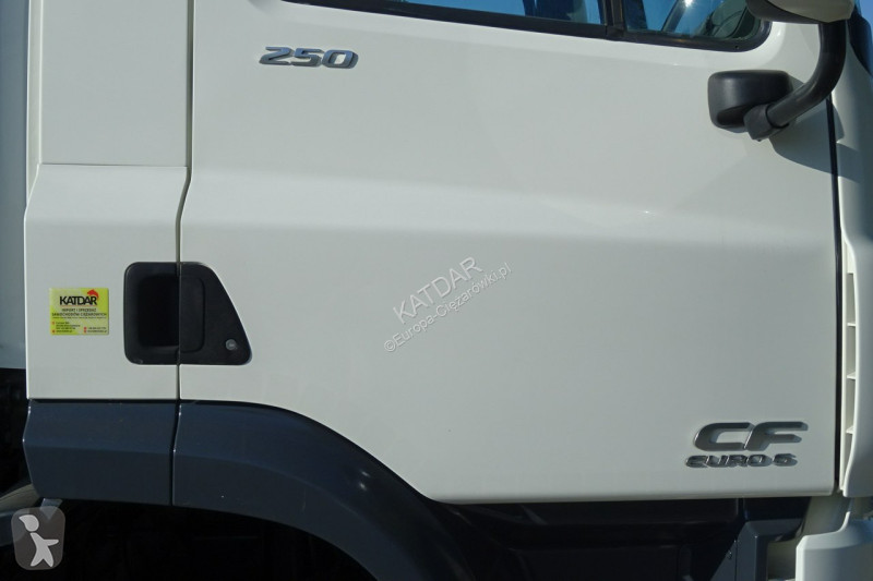 Camion DAF CF 250 Euro 6 burto - firanka z...