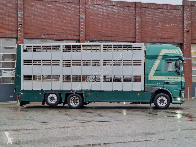 شاحنة DAF 440 SuperSpaceCab 6x2*4 - Cuppers...