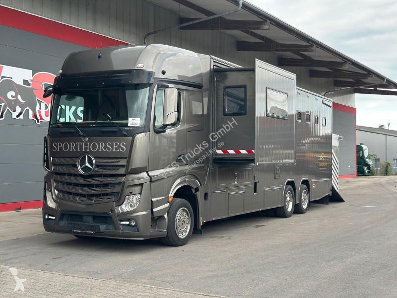 Mercedes 2543 BÖCKMANN Pferde,-Wohnmobil...