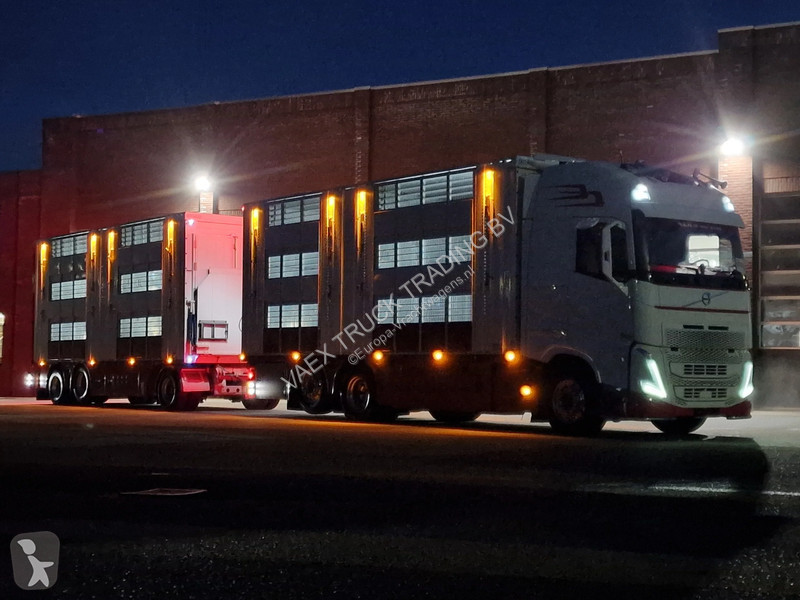 Kamion Volvo 13500 XL 6x2 - Pezzaioli livestock...
