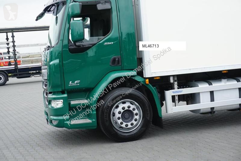 Camion DAF LF / 250 / EURO 6 / CHŁODNIA + WINDA...