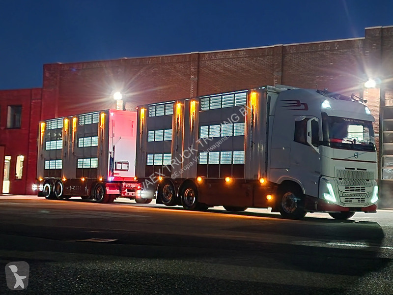 Kamion Volvo 13500 XL 6x2 - Pezzaioli livestock...