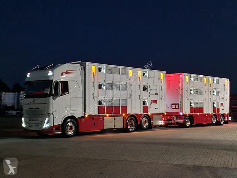 Kamion Volvo 13500 XL 6x2 - Pezzaioli livestock...