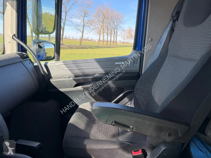 Camion DAF 250 250.19 EURO6. Chassic cabine