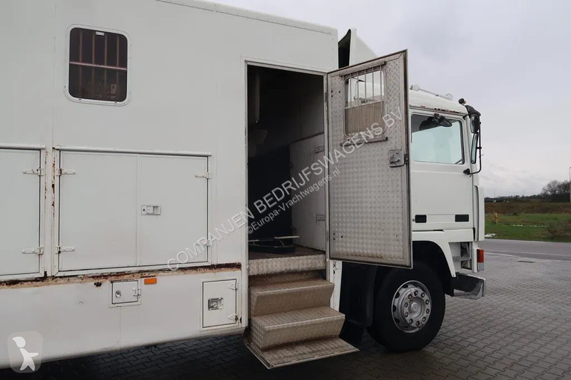 Kamion Volvo F 12 -20 - 1986 - Horse transport...