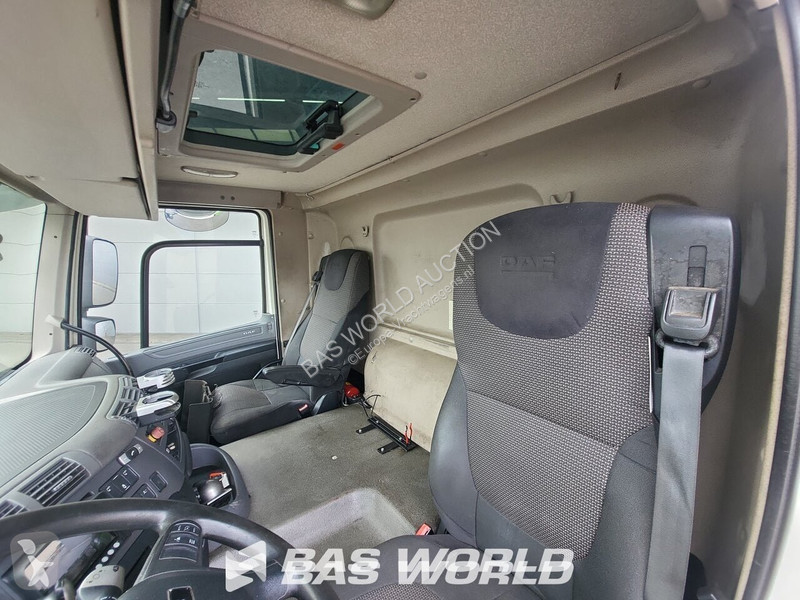 Camion DAF 290