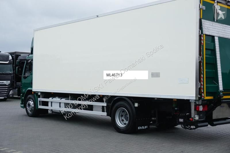 Camion DAF LF / 250 / EURO 6 / CHŁODNIA + WINDA...