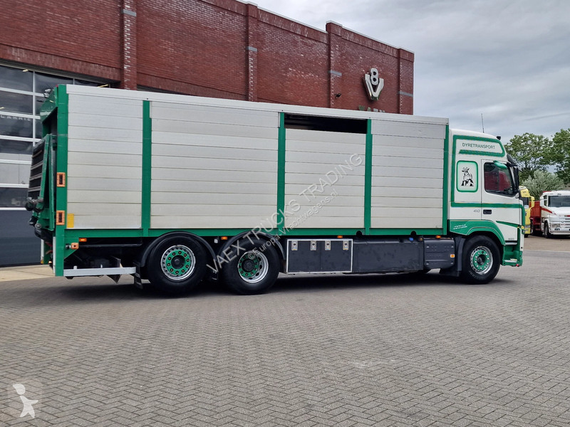 شاحنة Volvo Globetrotter 6x2*4 - Livestock -...