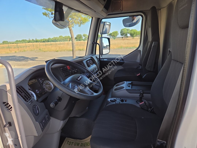 Camion DAF 290