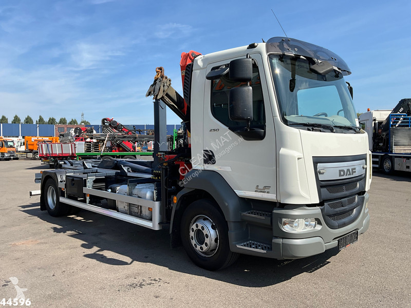Camion DAF FA  250 Euro 6 Palfinger 6,5...