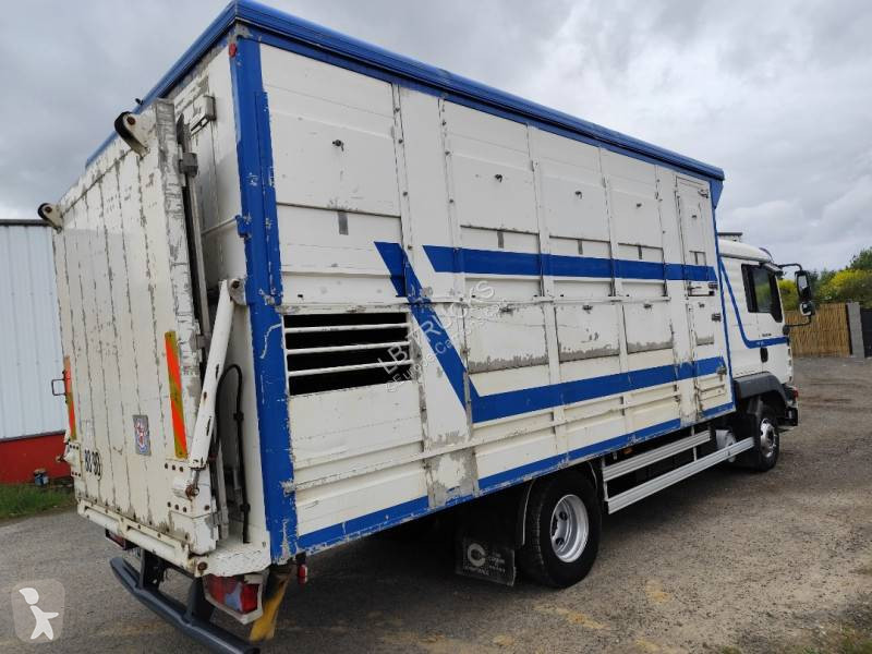 Camion MAN