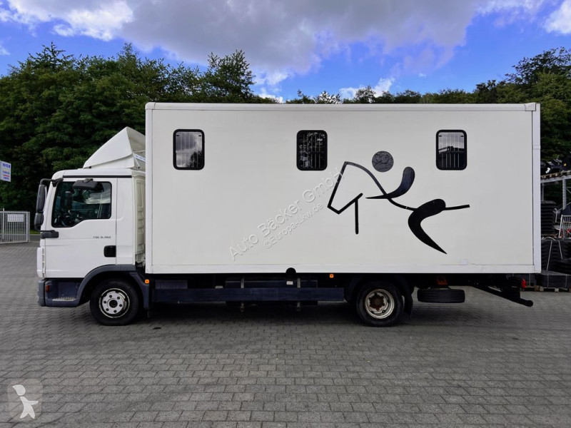 Camión MAN 8.180 4x2 FG Pferdetransporter (3er)