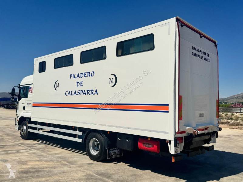 Camión MAN TGM 15.290