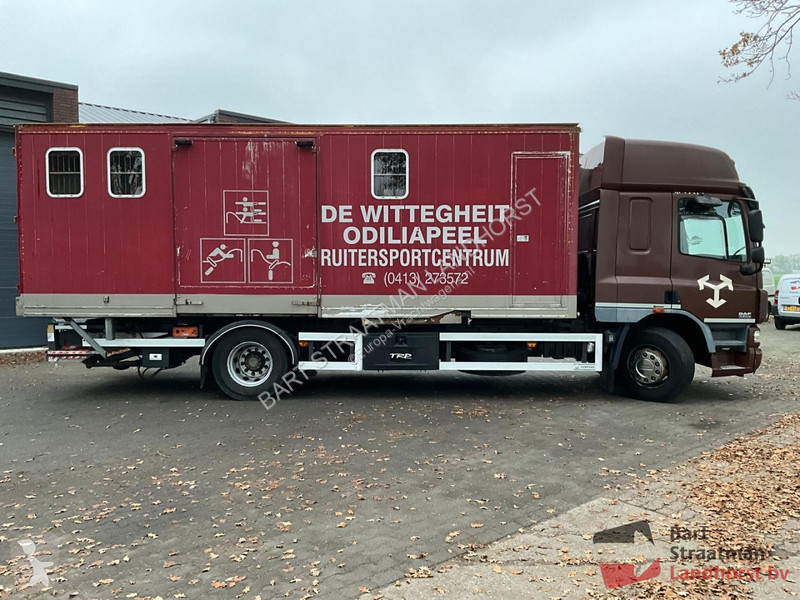 Camion DAF FA 4x2 Euro 5 Paardenwagen geschikt...