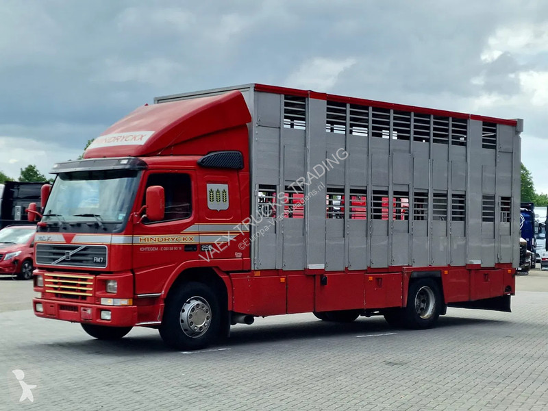 Camión Volvo 250 4x- Livestock 2 deck - Lifting...