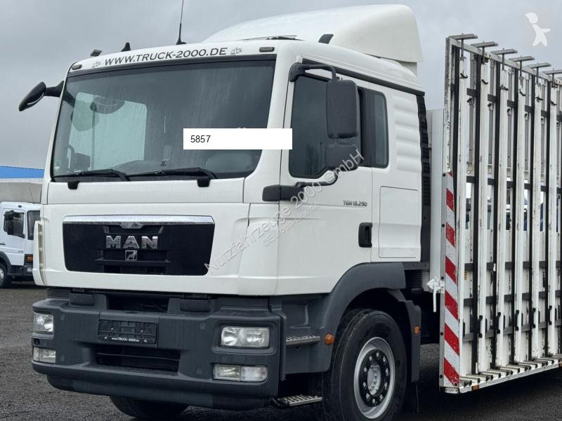 Camion MAN TGM
