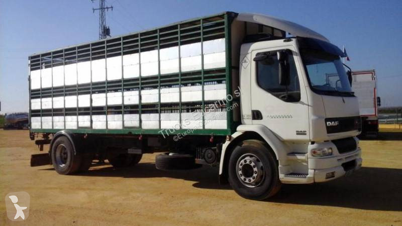 Camion DAF