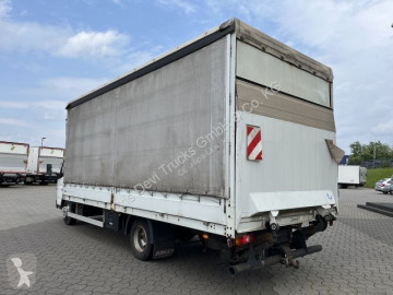 Camion savoyarde Fuso