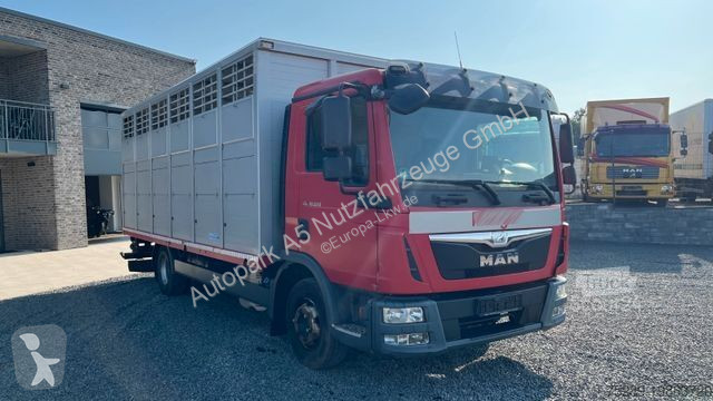 Camion MAN TGL 10.220 Viehtransporter Rampe...