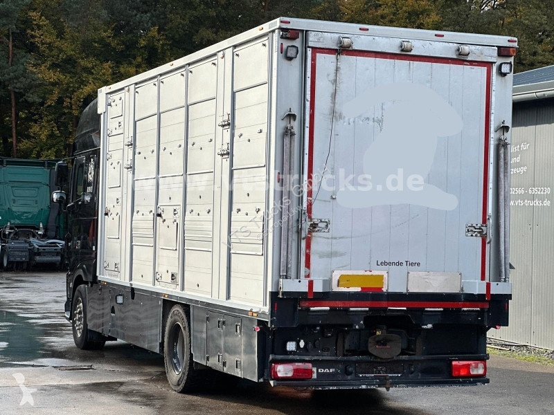 شاحنة DAF 530 4x2 Finkl 2.Stock Viehaufbau