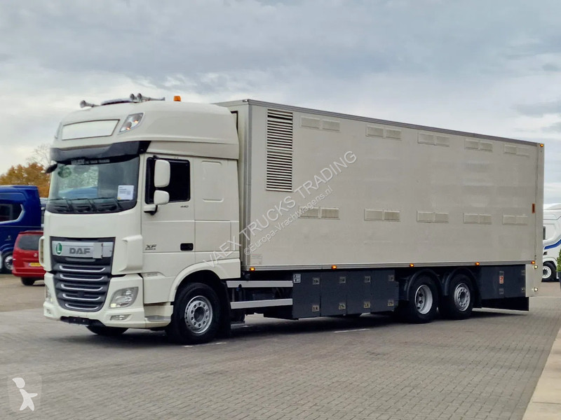 شاحنة DAF 440 SuperSpaceCab 6x2*4 - 2 deck...