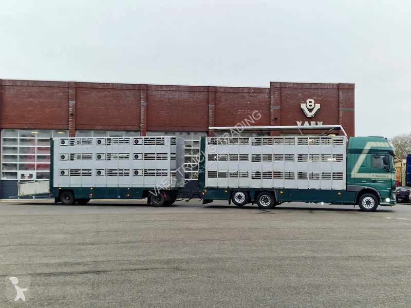 شاحنة DAF 440 SuperSpaceCab 6x2*4 - Cuppers...