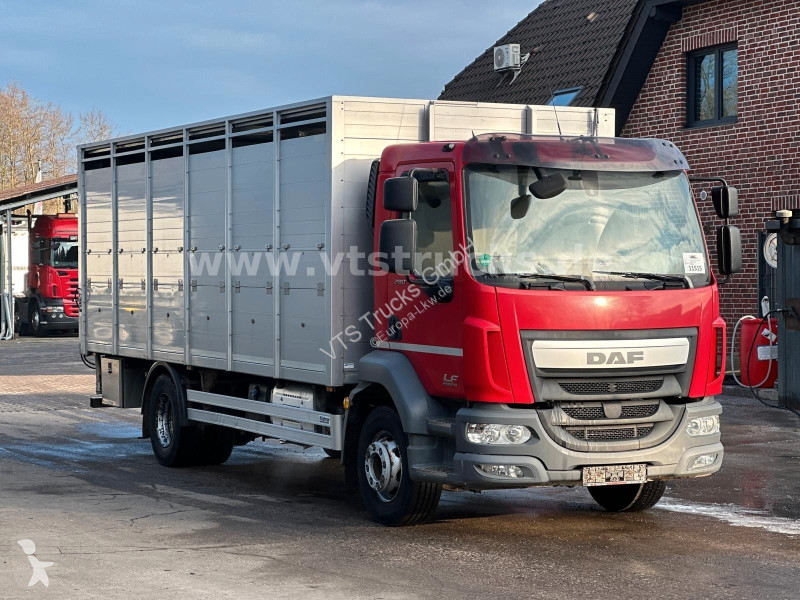 شاحنة DAF 280 4x2 BL 1.Stock Viehwagen ACC LDW CAM