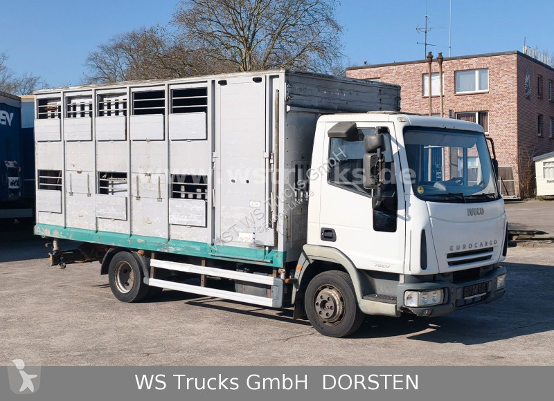 شاحنة Iveco ML 1Q Viehtransporter 1 Stock