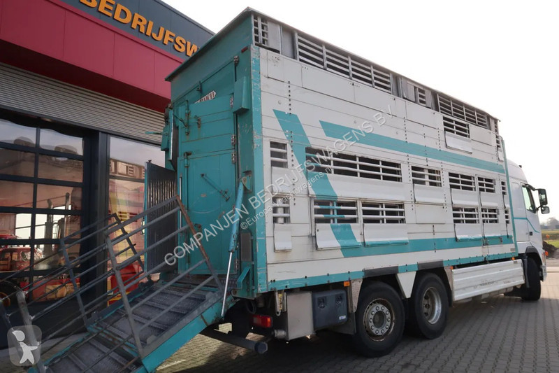 شاحنة Volvo 480  480 Cattle transport