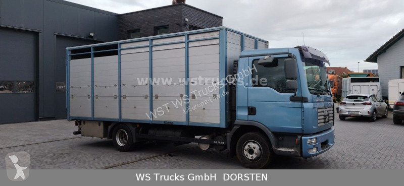 شاحنة MAN 10.210 1 Stock Viehtransporter
