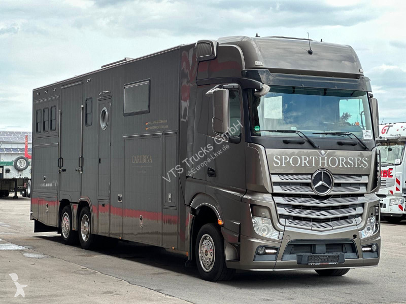 Mercedes 2543 BÖCKMANN Pferde,-Wohnmobil...
