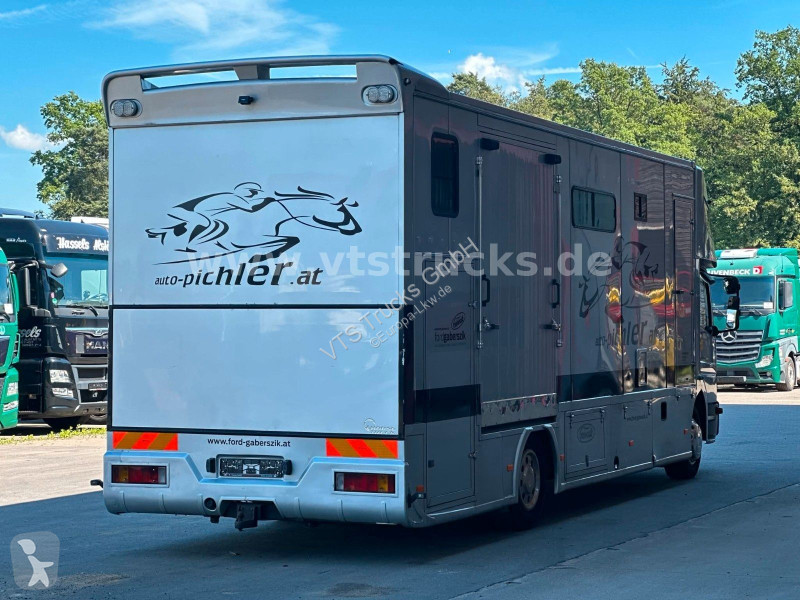 شاحنة Mercedes 1218L Pferdetransporter mit...