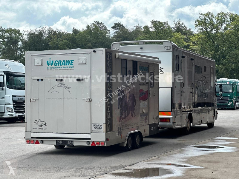 شاحنة Mercedes 1218L Pferdetransporter + Gimmel...