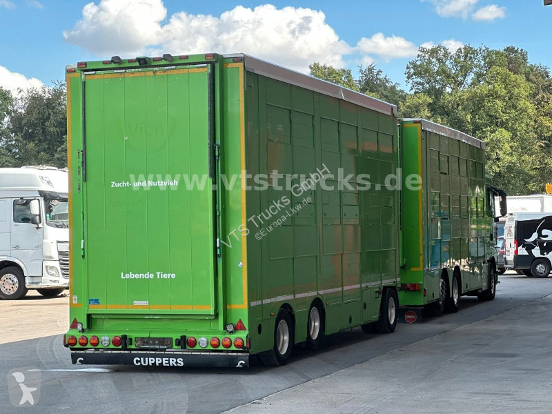 شاحنة MAN TGX 6x2 3.Stock Cuppers Komplett-Zug
