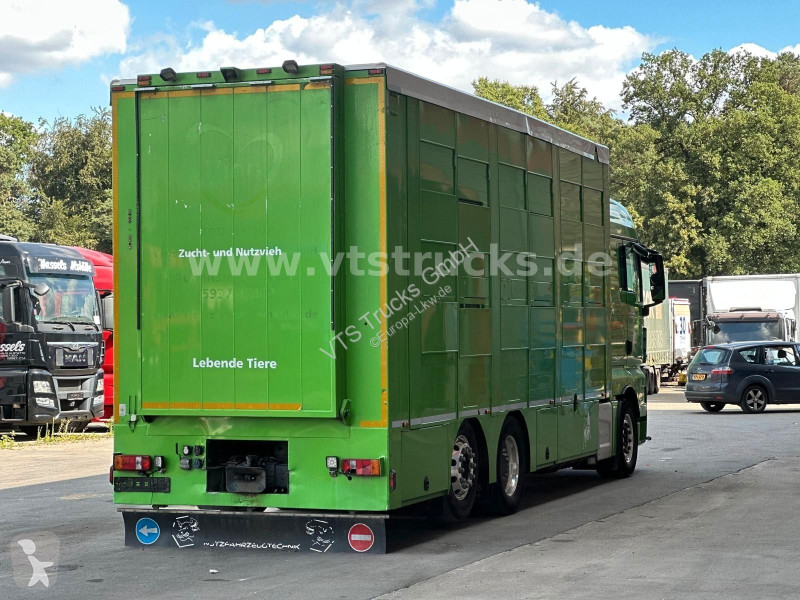 شاحنة MAN TGX 6x2 3.Stock Cuppers, Lenk-/Lift